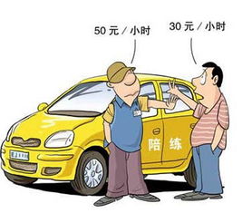 汽车陪驾 百科